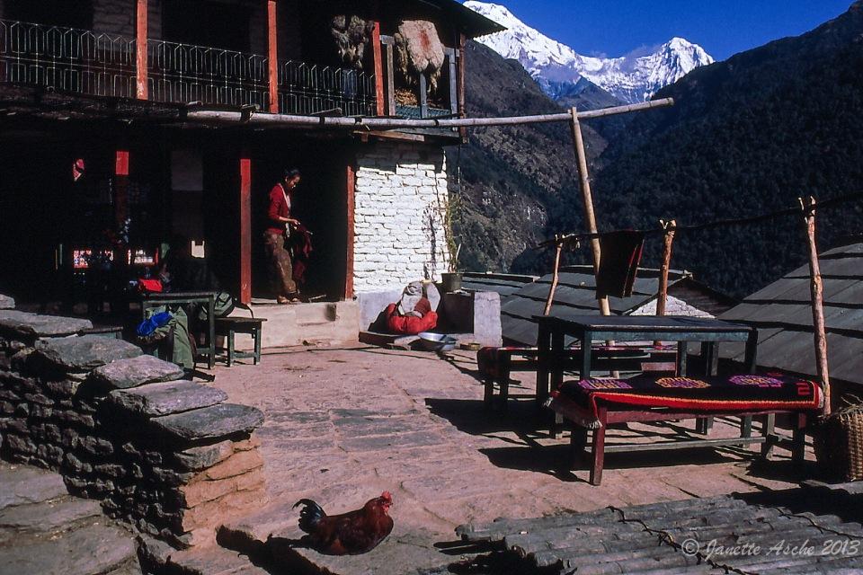 Homestay Tourism in Nepal