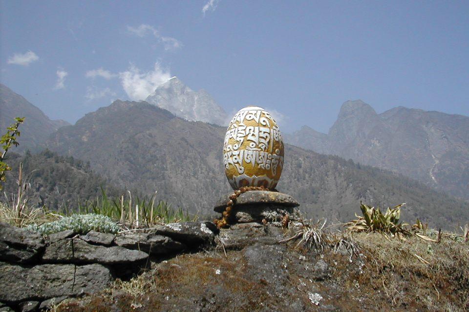 Easiest Place to See Yaks in Nepal