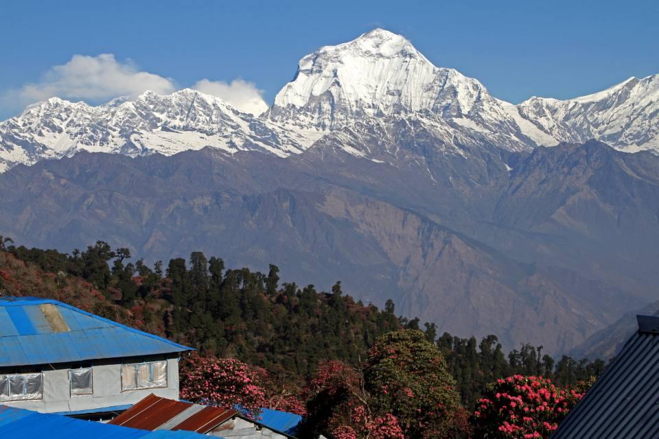 Food & Accommodation in Dhaulagiri Circuit Trek
