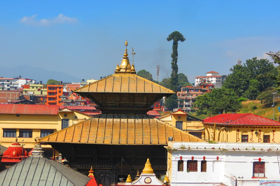 How to Reach Pashupatinath Temple?