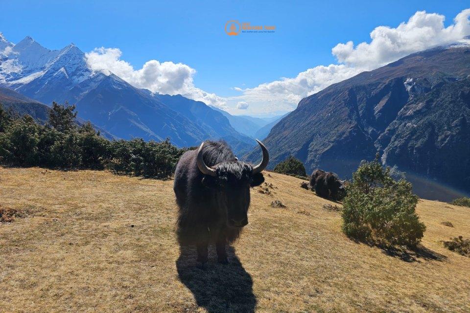 Everest Base Camp Trek in November