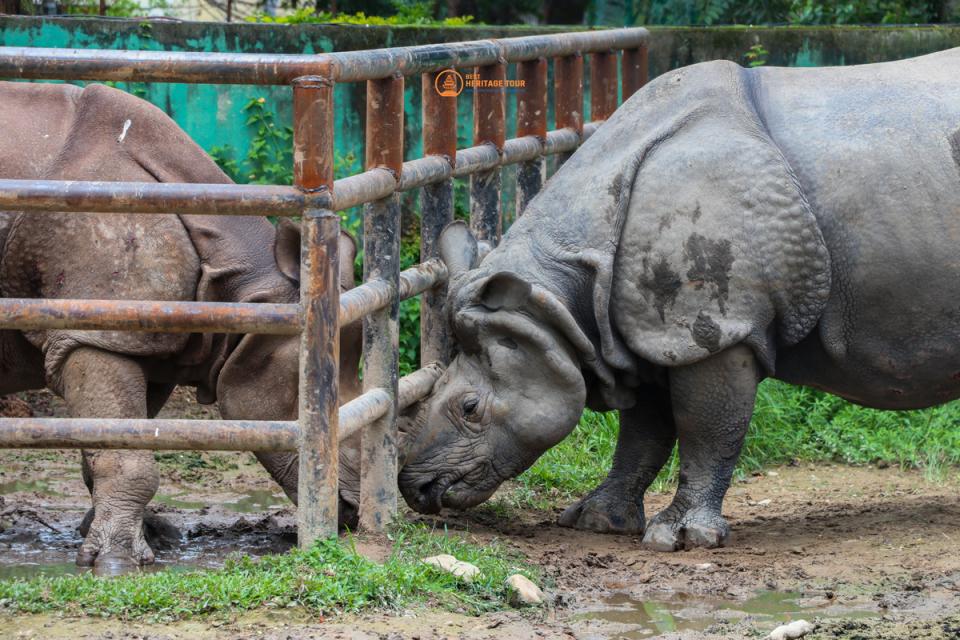 Central Zoo & Tibetan Refugee Camp Tour in Kathmandu