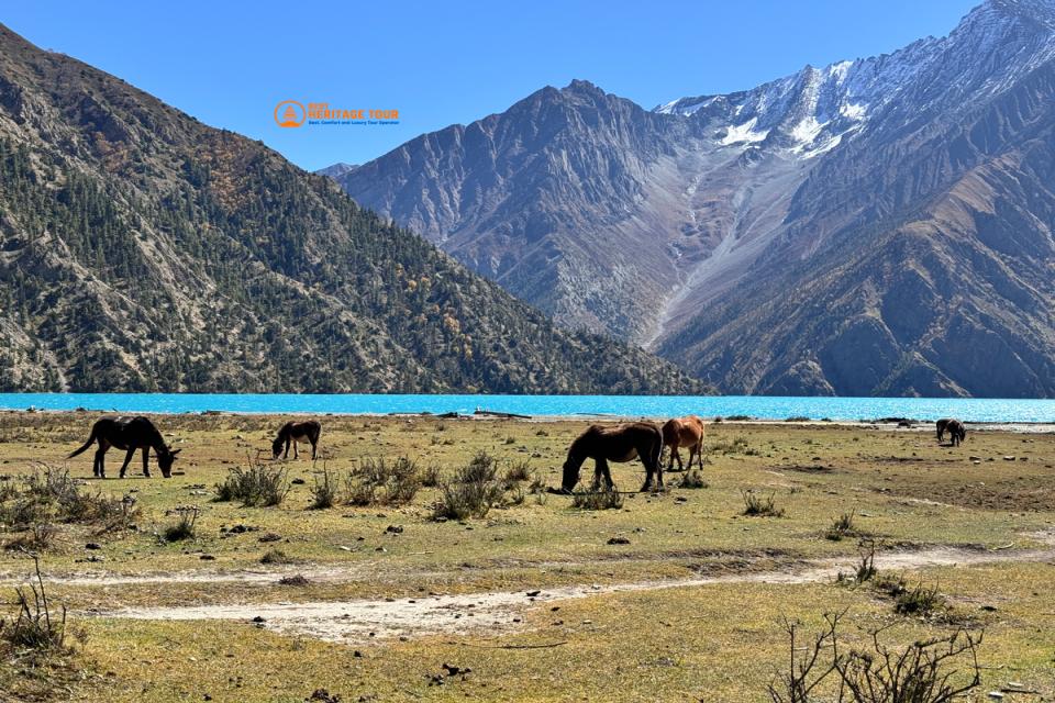 Lower Dolpo Trek - 18 Days