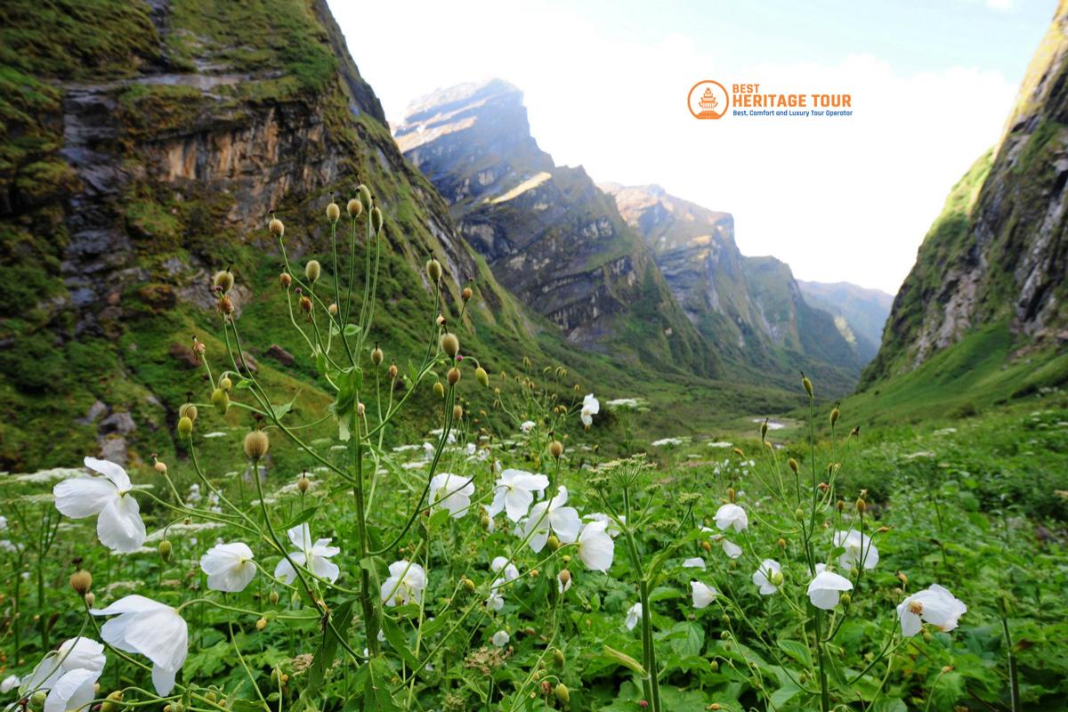 Way to Annapurna Base Camp