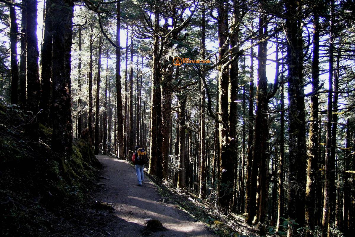 Langtang Gosainkunda Trek Path