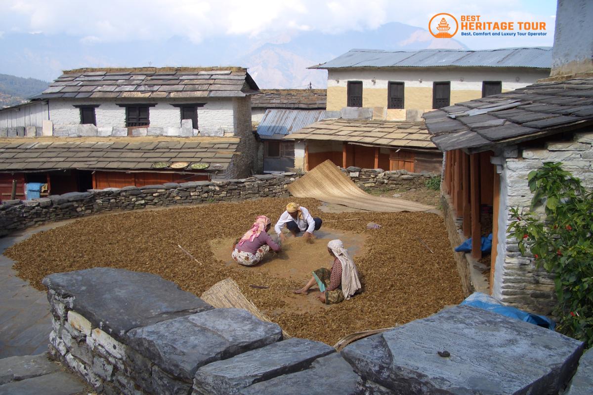 Ghorepani Village