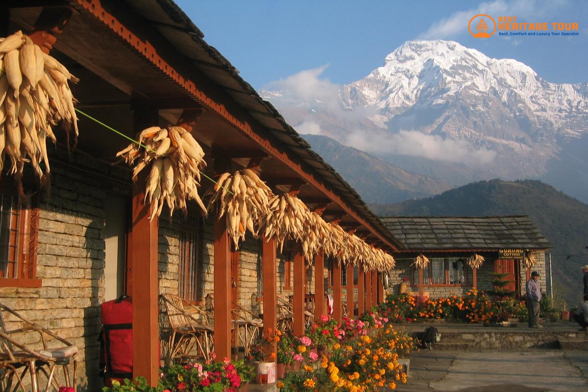 Way to Ghorepani Trek Poonhill