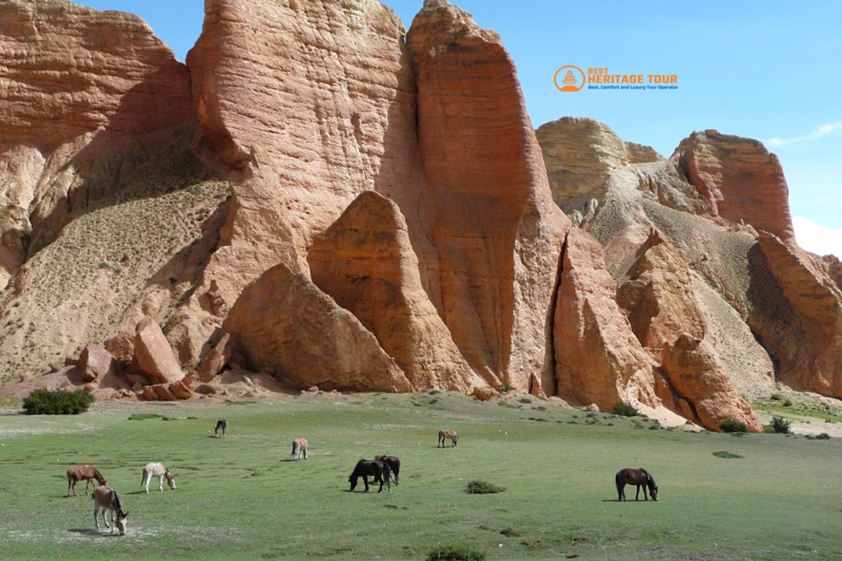 Mustang Jeep Tour