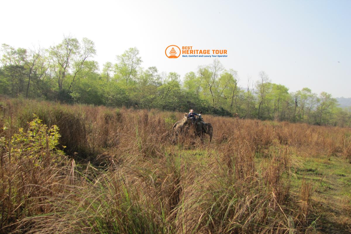 Jungle Safari Chitwan