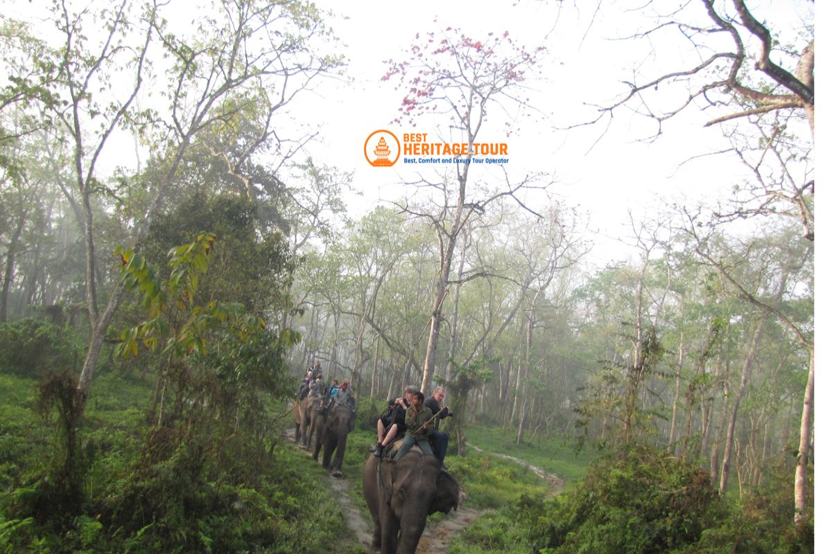 Chitwan Elephant Safari