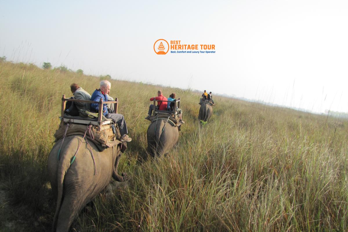 Chitwan National Park Elephant