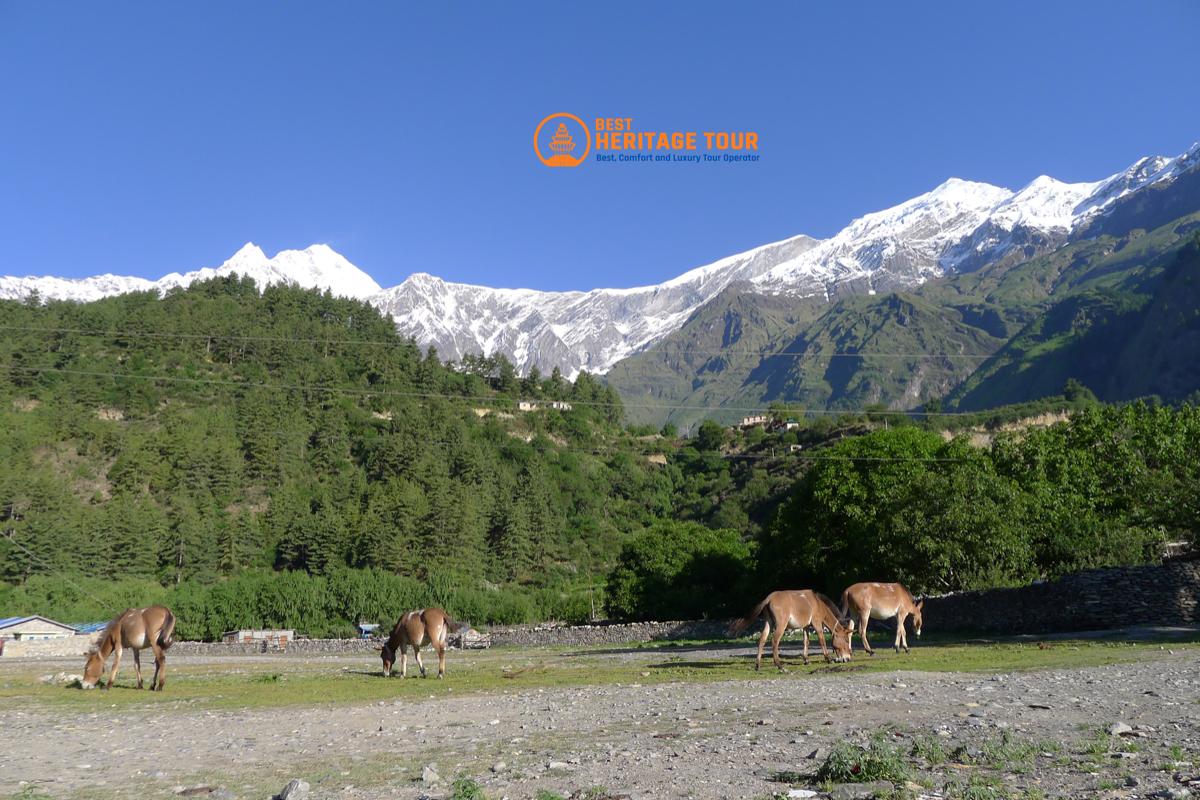 Annapurna Circuit Trekking Way