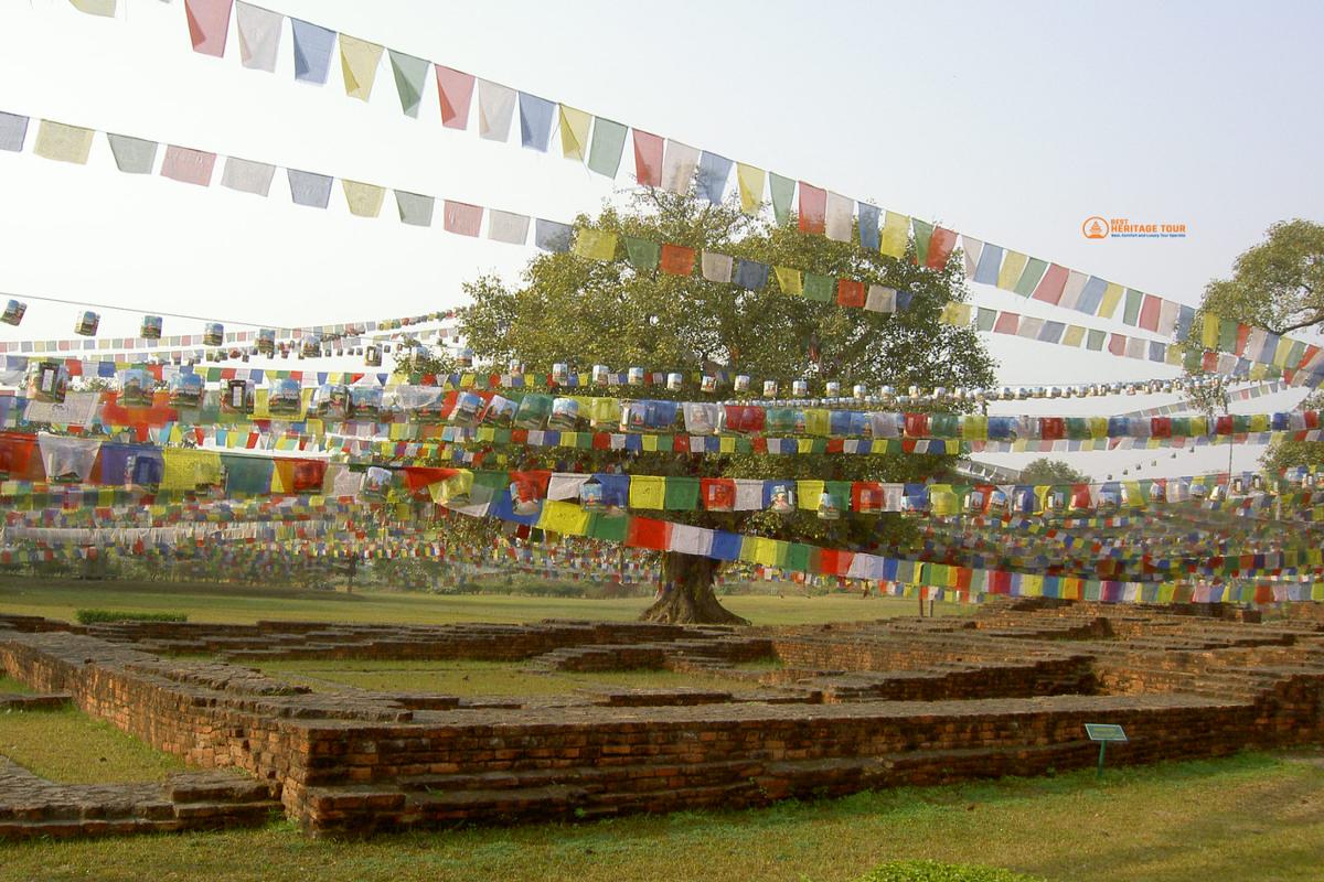 Lumbini