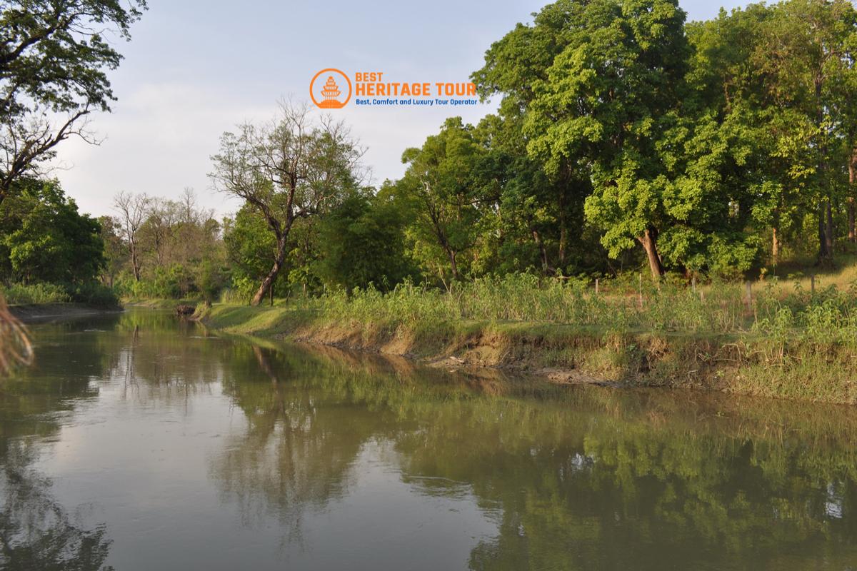 Bardiya National Park Jungle