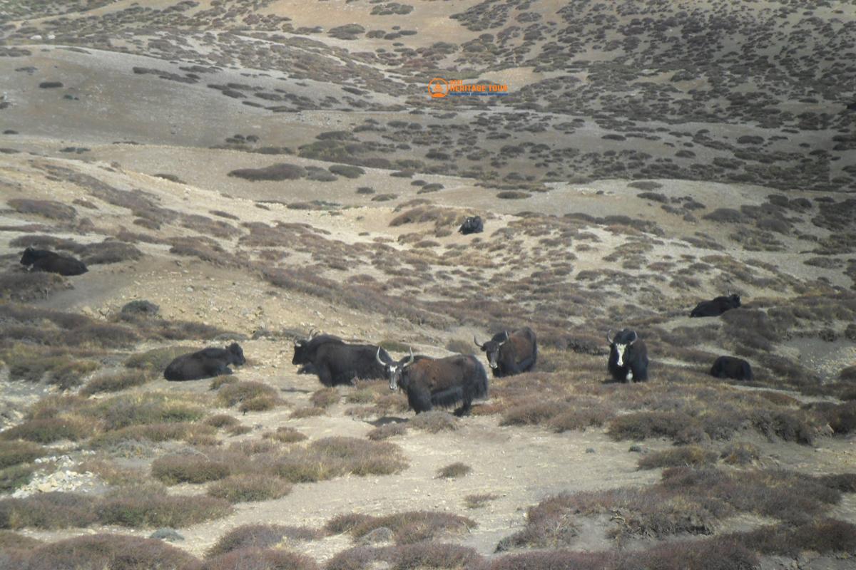 Way to Upper Mustang