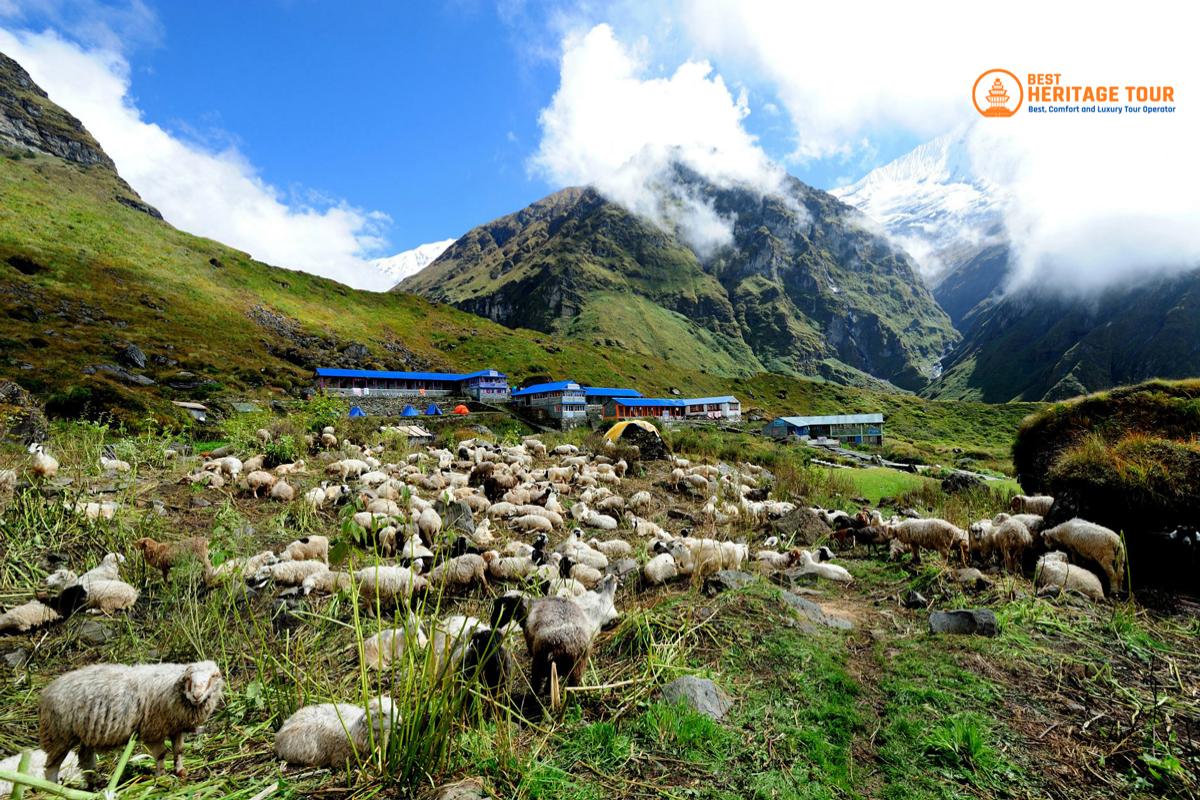 On the Way to Annpaurna Base camp