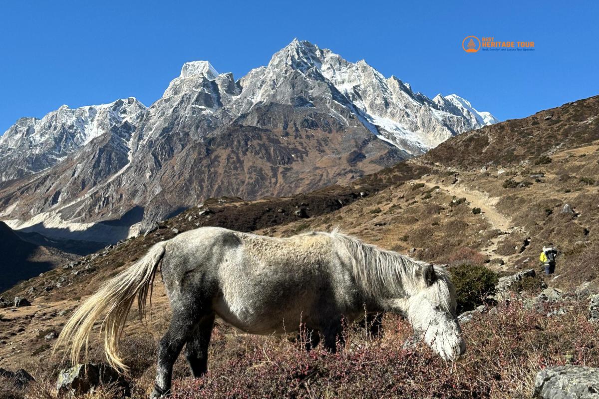 Manaslu Tsum Valley Trek